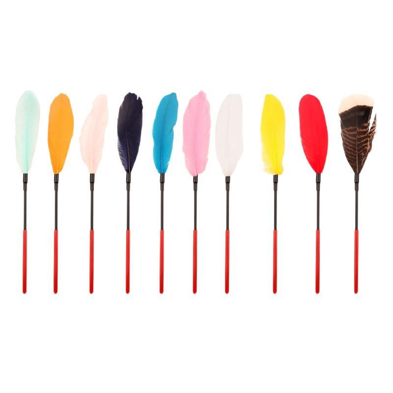 Party Games Young Adults - Feather Tickled Erotic Feather Whip Spank