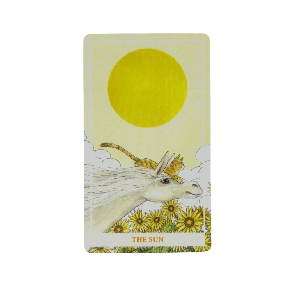 Sunny Orange Cat Tarot Cards A - Party Games Sunny recension och pris